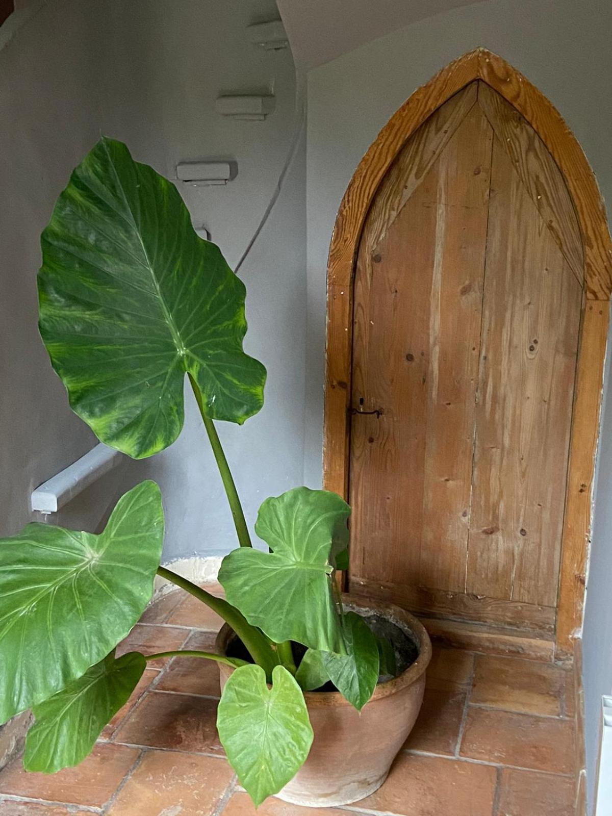 Bed and Breakfast Mas Carita Cabannes Exterior foto